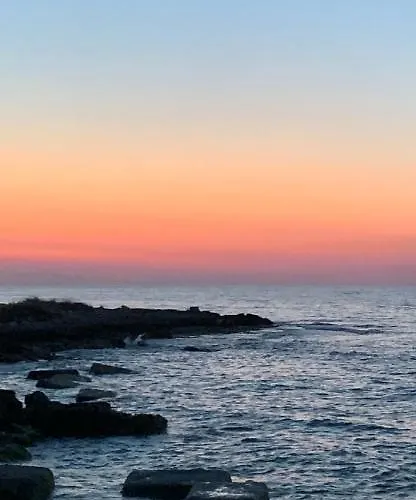 公寓 Nontiscordardime *